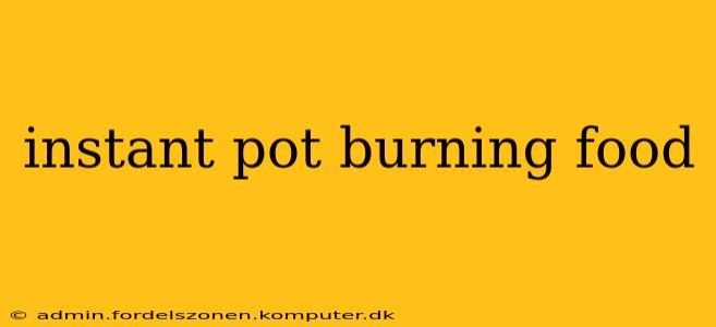 instant pot burning food