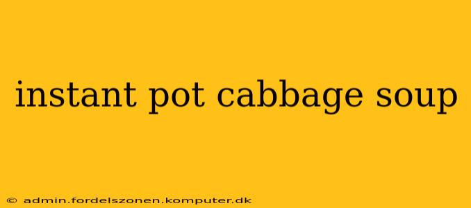 instant pot cabbage soup