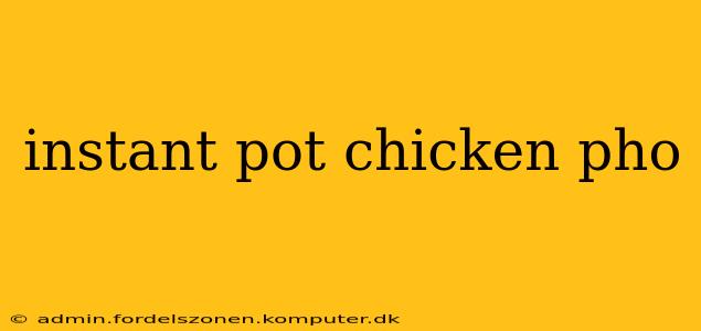 instant pot chicken pho