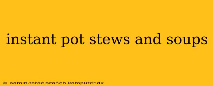 instant pot stews and soups