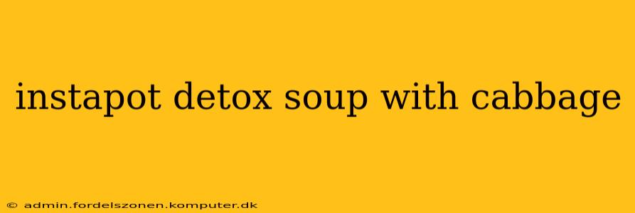 instapot detox soup with cabbage