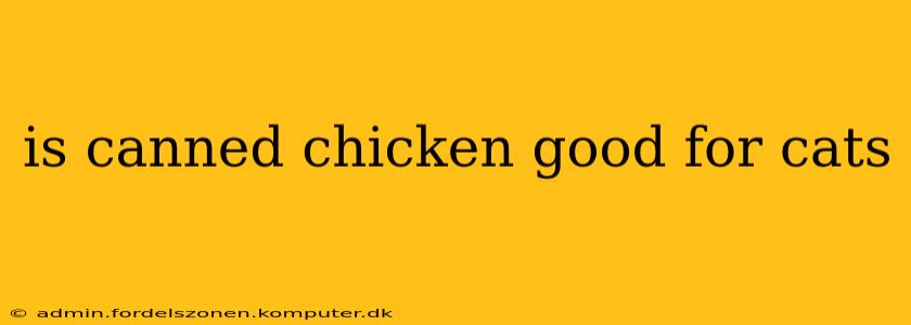 is canned chicken good for cats