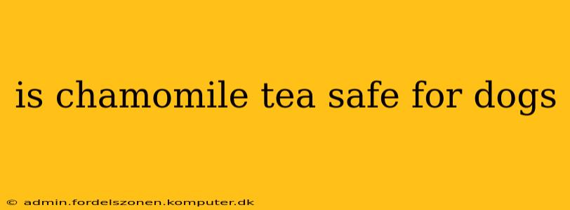 is chamomile tea safe for dogs