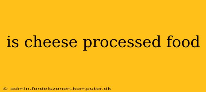 is cheese processed food