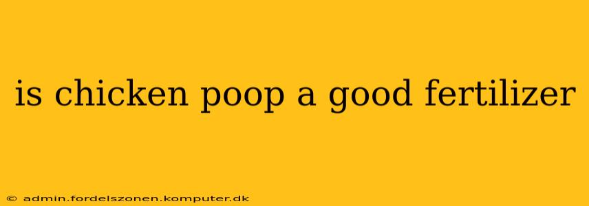 is chicken poop a good fertilizer