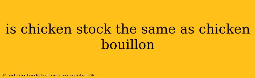 is chicken stock the same as chicken bouillon