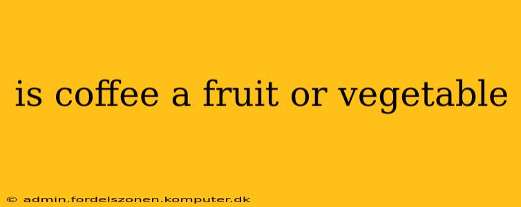 is coffee a fruit or vegetable