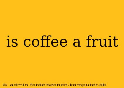 is coffee a fruit