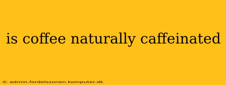 is coffee naturally caffeinated