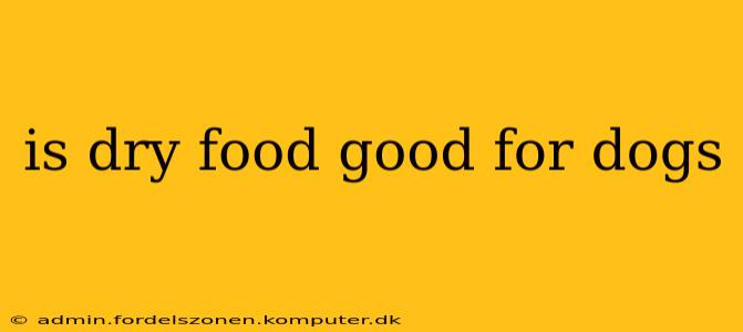 is dry food good for dogs