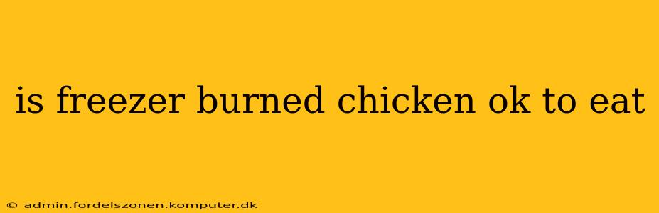 is freezer burned chicken ok to eat