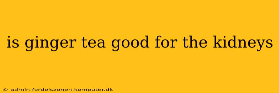 is ginger tea good for the kidneys