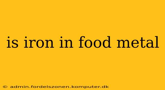 is iron in food metal