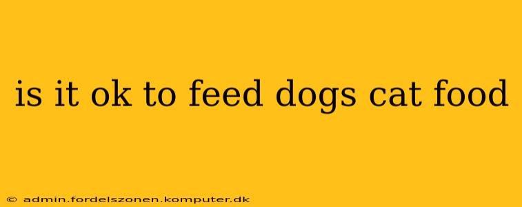is it ok to feed dogs cat food
