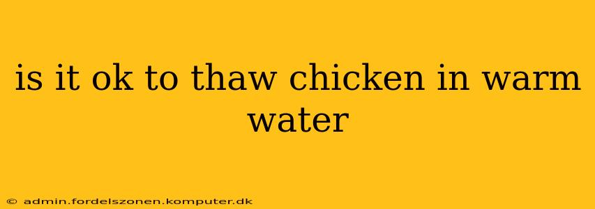 is it ok to thaw chicken in warm water
