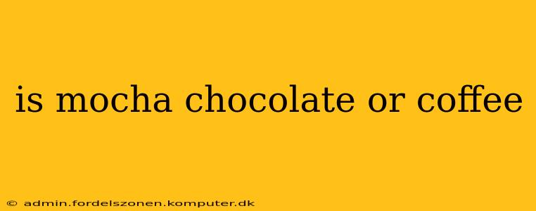is mocha chocolate or coffee