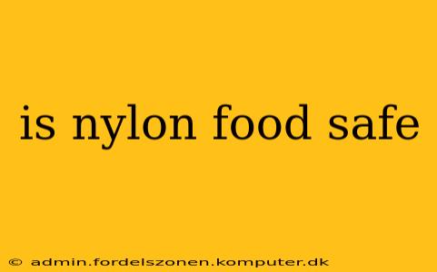 is nylon food safe