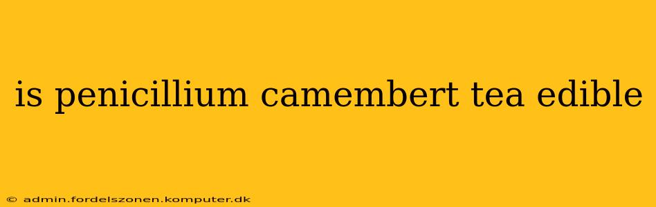 is penicillium camembert tea edible