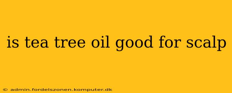 is tea tree oil good for scalp