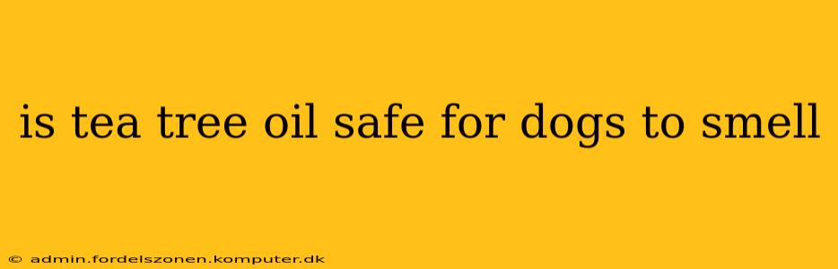 is tea tree oil safe for dogs to smell