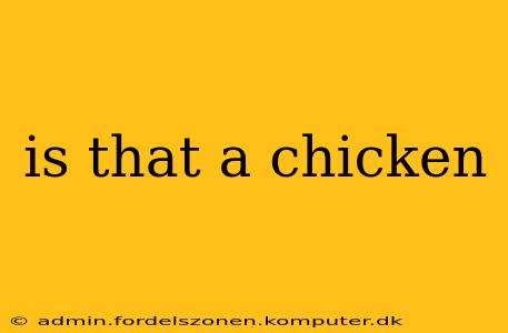 is that a chicken