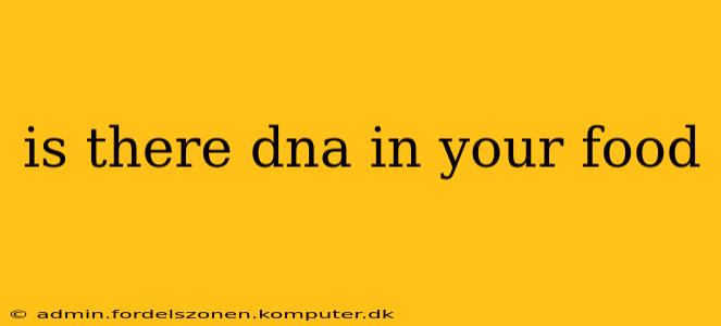 is there dna in your food