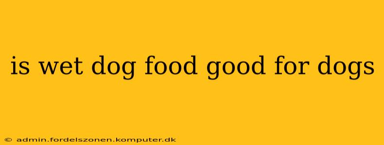 is wet dog food good for dogs