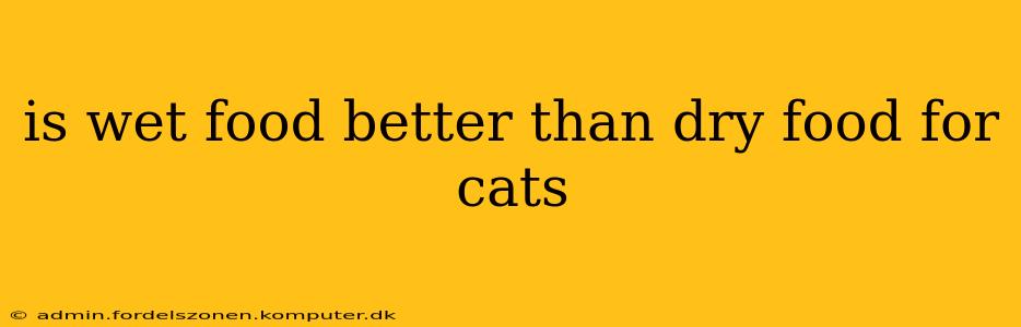 is wet food better than dry food for cats