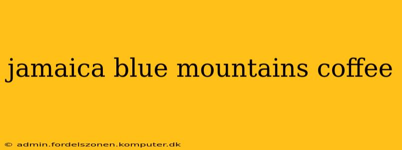 jamaica blue mountains coffee