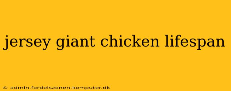 jersey giant chicken lifespan