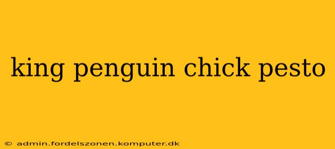 king penguin chick pesto