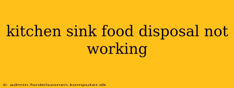 kitchen sink food disposal not working