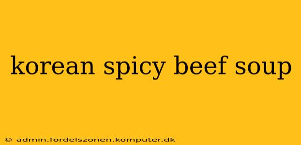 korean spicy beef soup