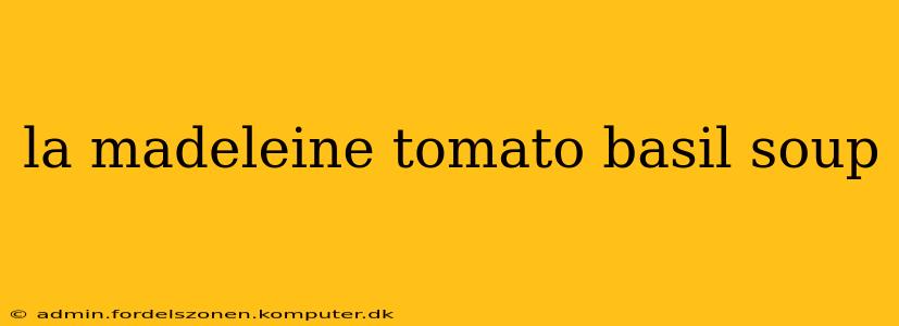 la madeleine tomato basil soup