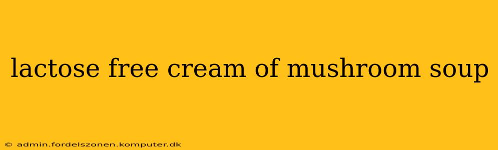 lactose free cream of mushroom soup