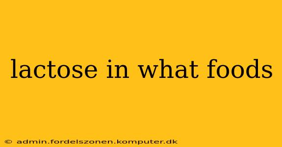 lactose in what foods