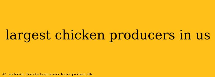 largest chicken producers in us
