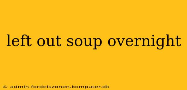 left out soup overnight