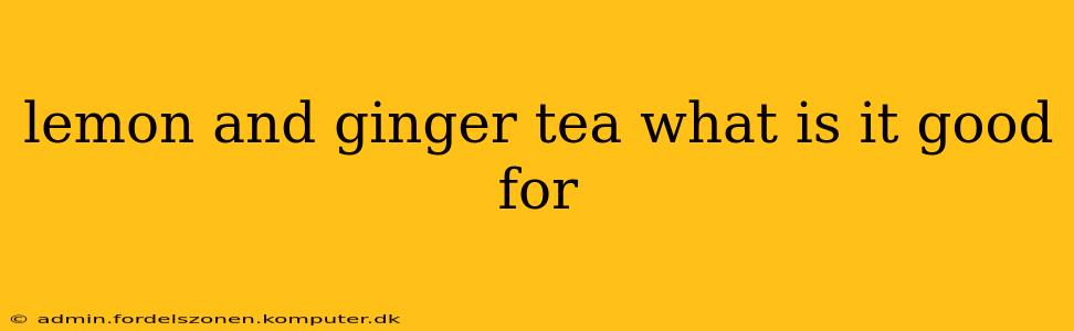 lemon and ginger tea what is it good for