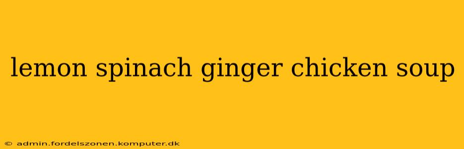 lemon spinach ginger chicken soup