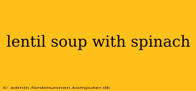 lentil soup with spinach