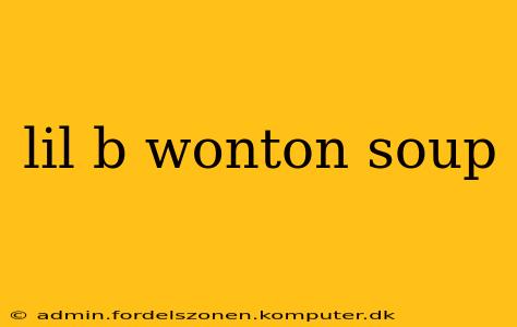 lil b wonton soup