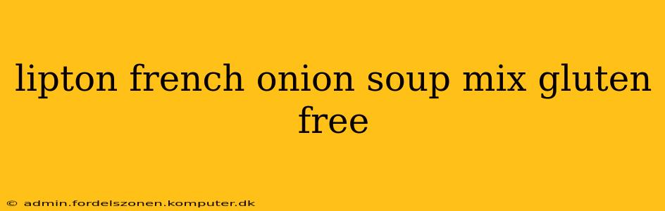 lipton french onion soup mix gluten free
