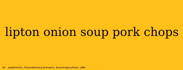 lipton onion soup pork chops