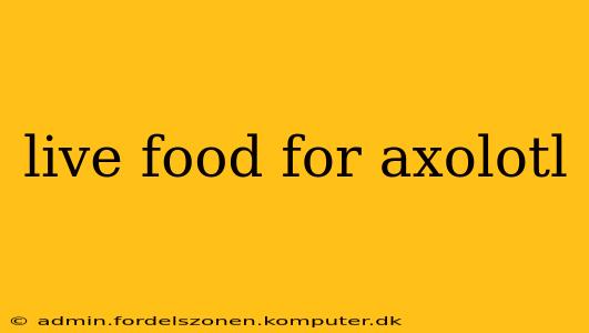 live food for axolotl