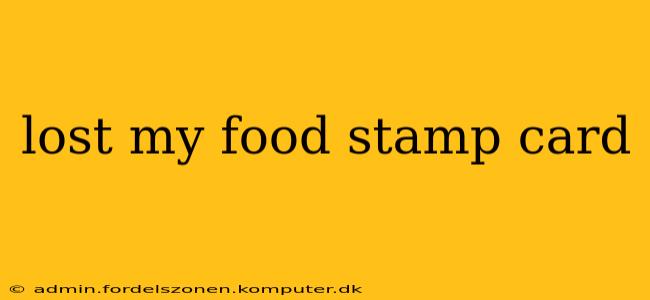 lost my food stamp card