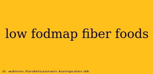 low fodmap fiber foods