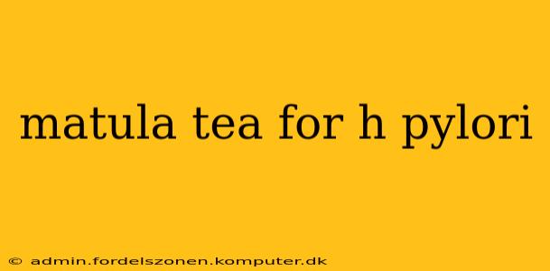 matula tea for h pylori