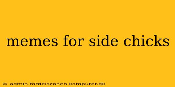 memes for side chicks