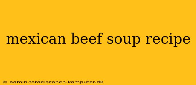 mexican beef soup recipe